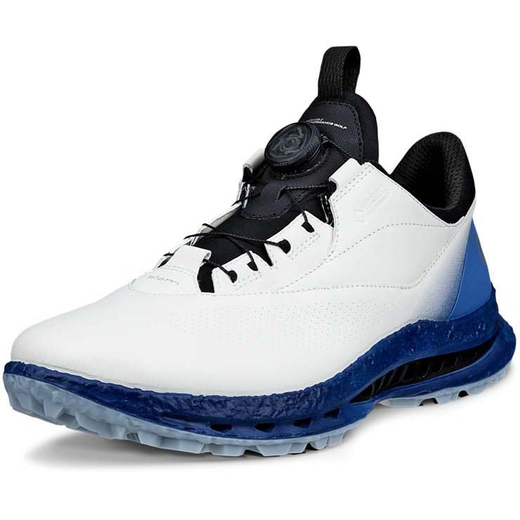 ecco（エコー） BIOM C5 BOA ゴルフシューズ メンズ 132614 カラー