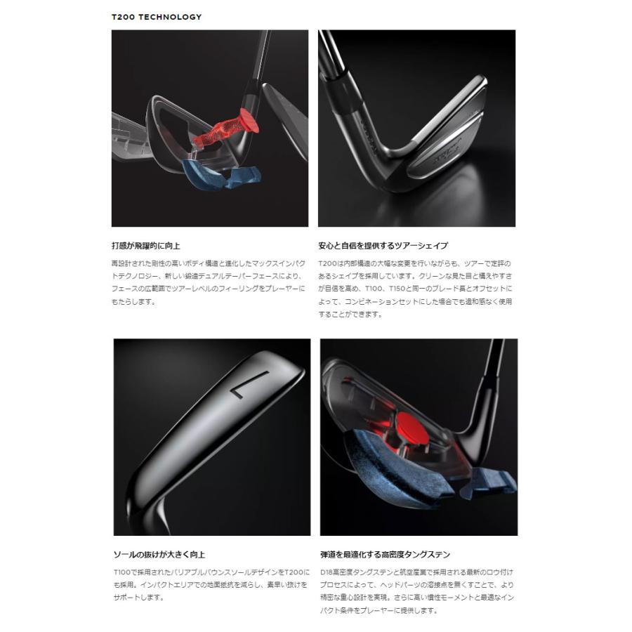 Titleist 特注カスタムクラブ タイトリスト T200 アイアン N.S.