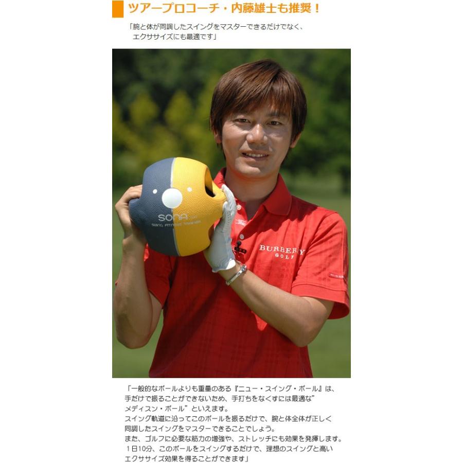 練習用品】 ヤマニゴルフ ニュー スイング ボール TRMGNT30 : ゴルフ