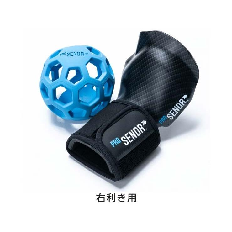 ヤマニゴルフ プロセンダー ProSENDR スイング練習器 : ゴルフ