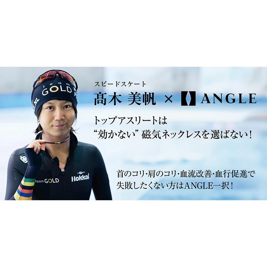 ANGLE アングル e.MODEL 02 磁気ネックレス ブラック（管理医療機器