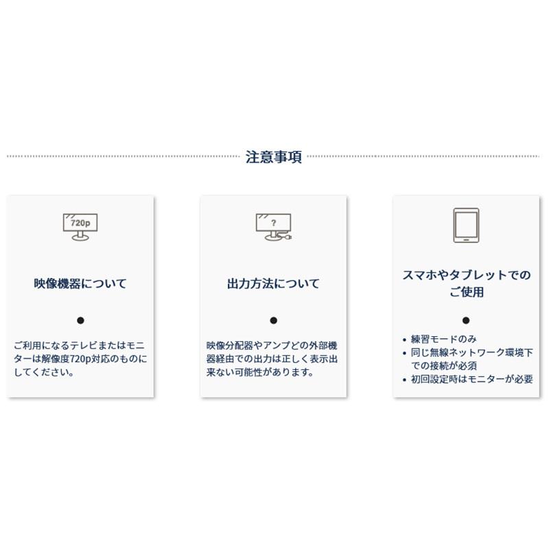 パター ゴルフシミュレーター EXPUTT RG EXパット リアルグリーン 室内パター練習機 日本正規品 SkyTrak スカイトラック