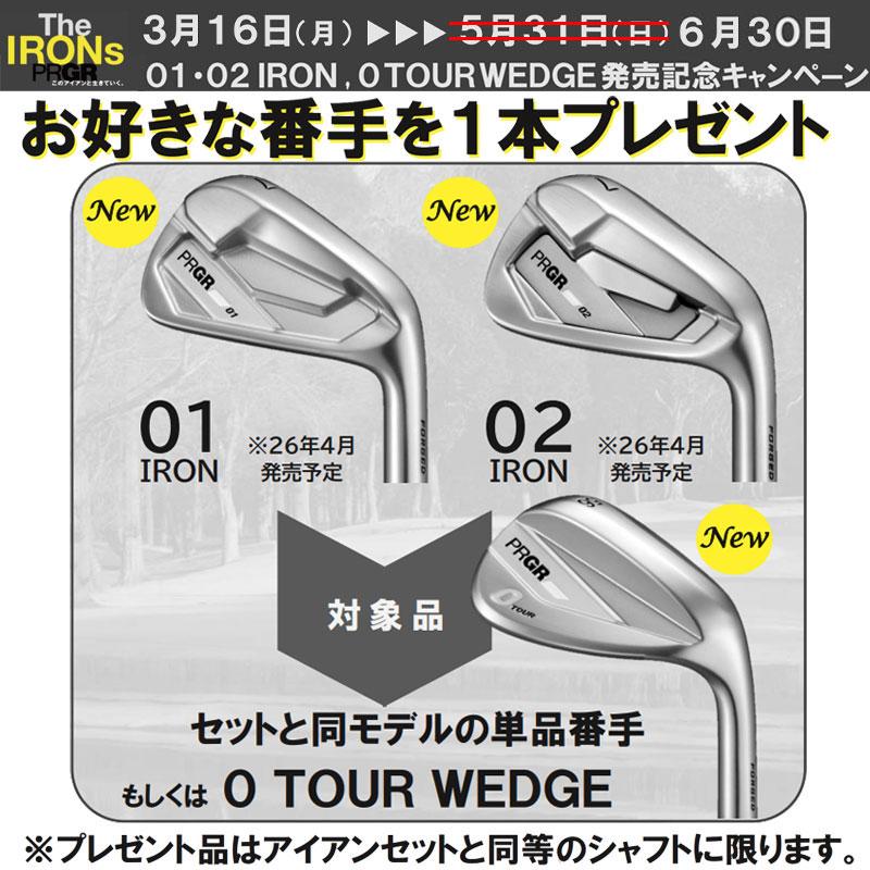 特注カスタムクラブ プロギア 02 アイアン N.S.PRO MODUS3 TOUR 105 