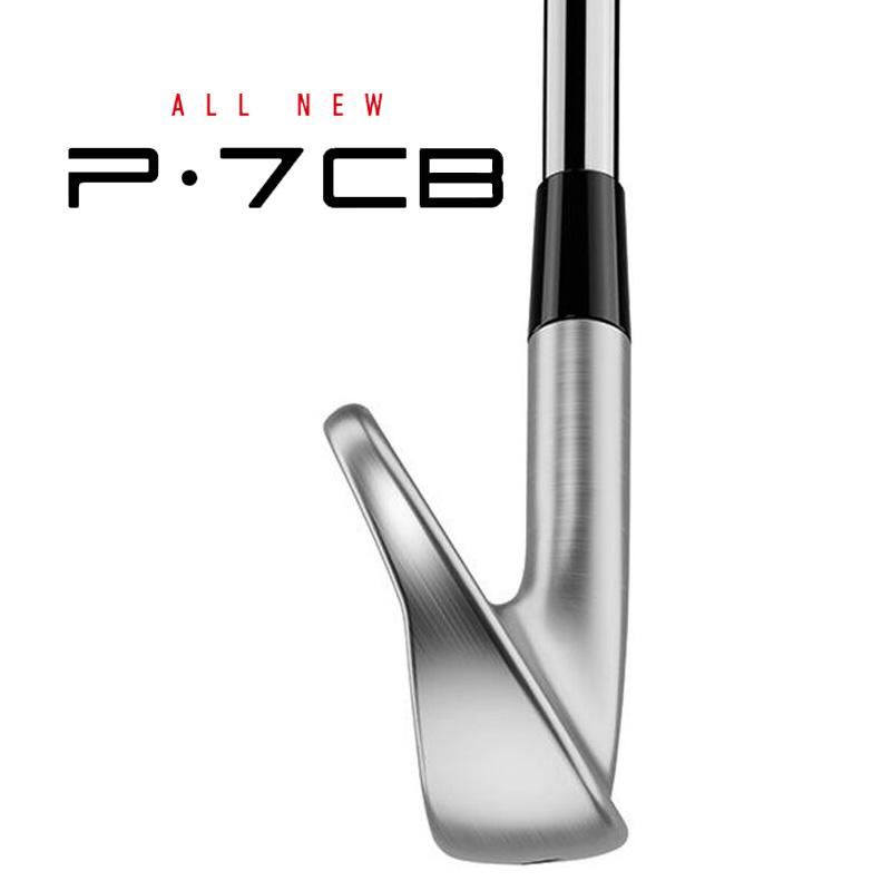TaylorMade（テーラーメイド） New P7CB アイアン 5本セット（#6 - PW