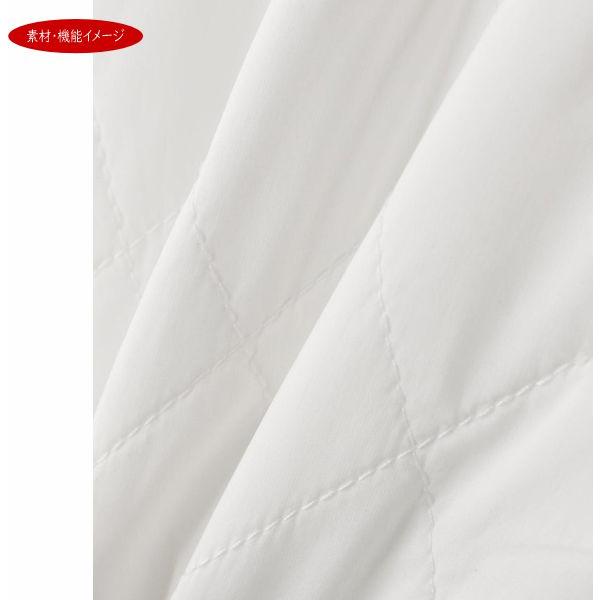 MASTER BUNNY EDITION（マスターバニーエディション） 【NEW】マスター