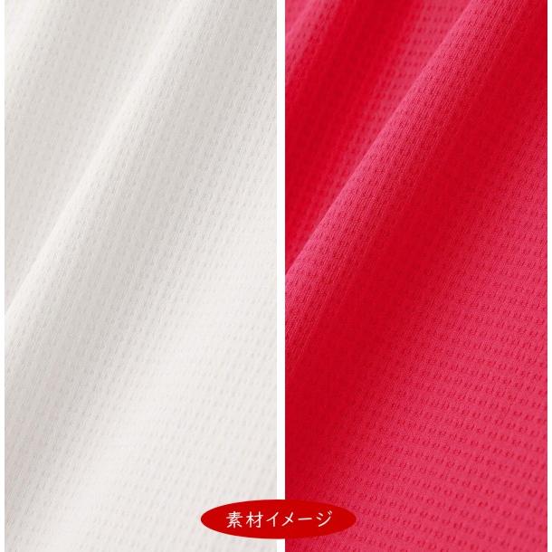 MASTER BUNNY EDITION（マスターバニーエディション） 【NEW】マスター