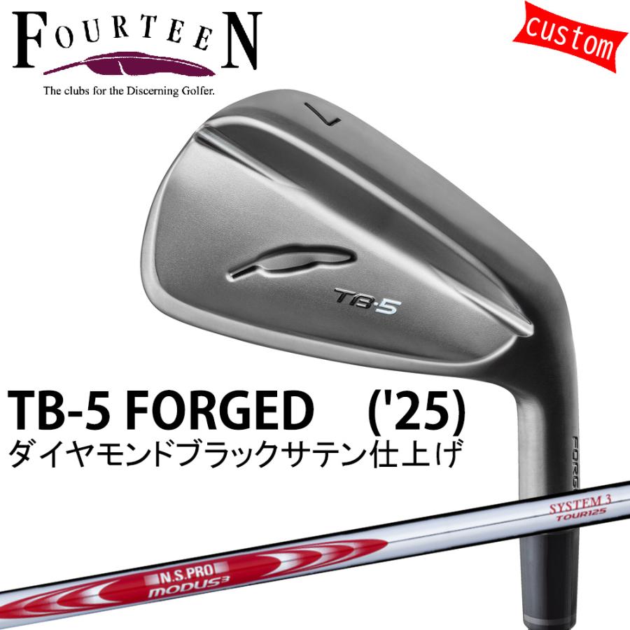 ゴルフ フォーティーン TB-5 フォージドアイアン ダイヤモンドブラックサテン仕上げ FOURTEEN GOLF カスタム N.S.PRO MODUS3 SYSTEM3 TOUR125