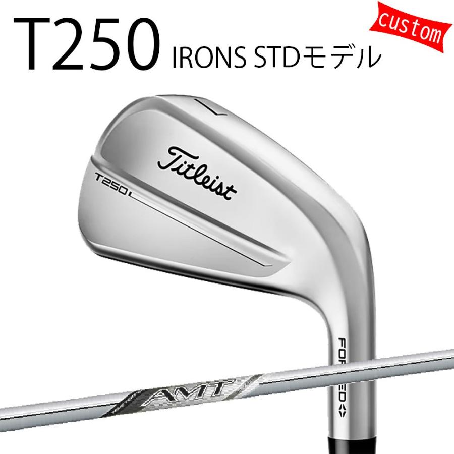 Titleist（タイトリスト） カスタム TITLEIST T250アイアン STDモデル 