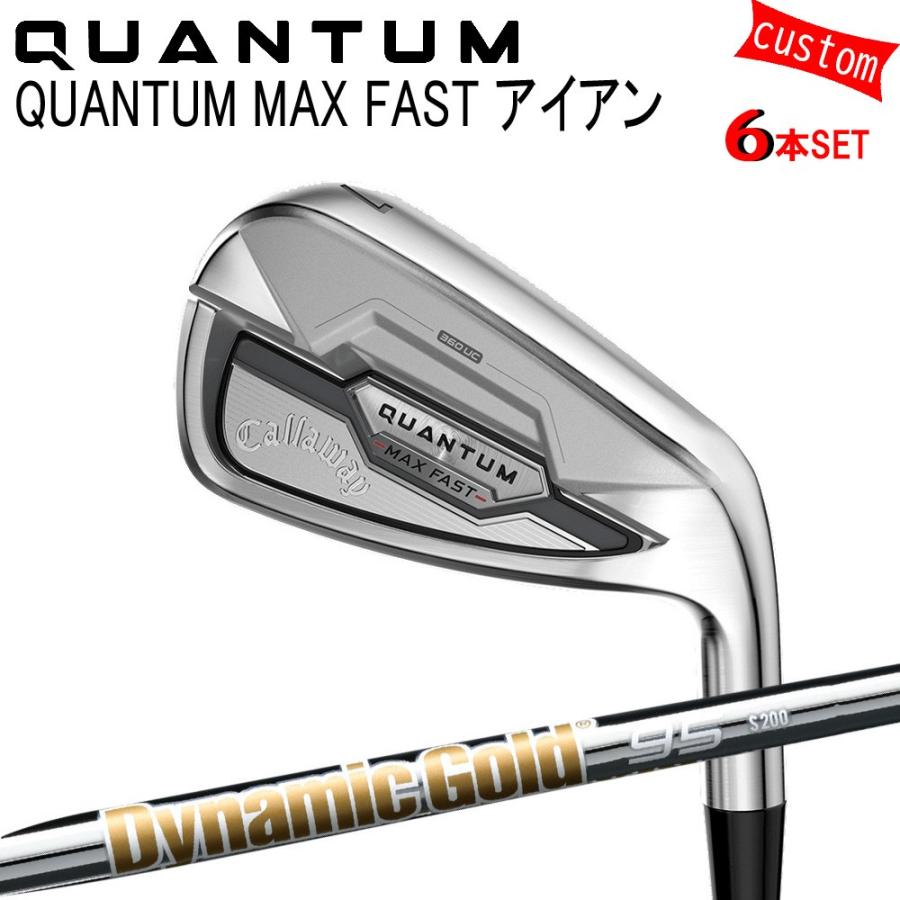 Callaway - カスタム キャロウェイ クアンタム マックス ファ同盟罷業 アイアン仕かける ダイナミックゴールド95 DG95 トゥルーテンパー 特注 26ひな型 QUANTUM IRON
