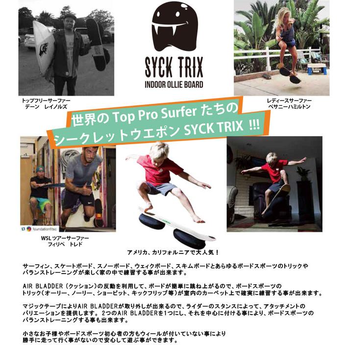 オーリー練習 バランストレーニング スケートボード SYCK TRIX シック