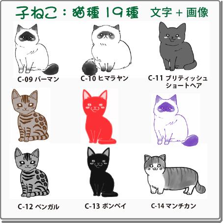 ペット スタンプ 子ネコ 20猫種 +名入れ スタンプ SStype 文字+画像 26mm四角内の制作です 補充インク付 | デジはん | 02