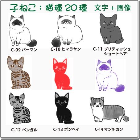 ペット スタンプ 子ネコ イラストシリーズ 規格品 C-01 アメリカンショートヘア SStype26mm四角内の制作です 補充インク付 |  | 02