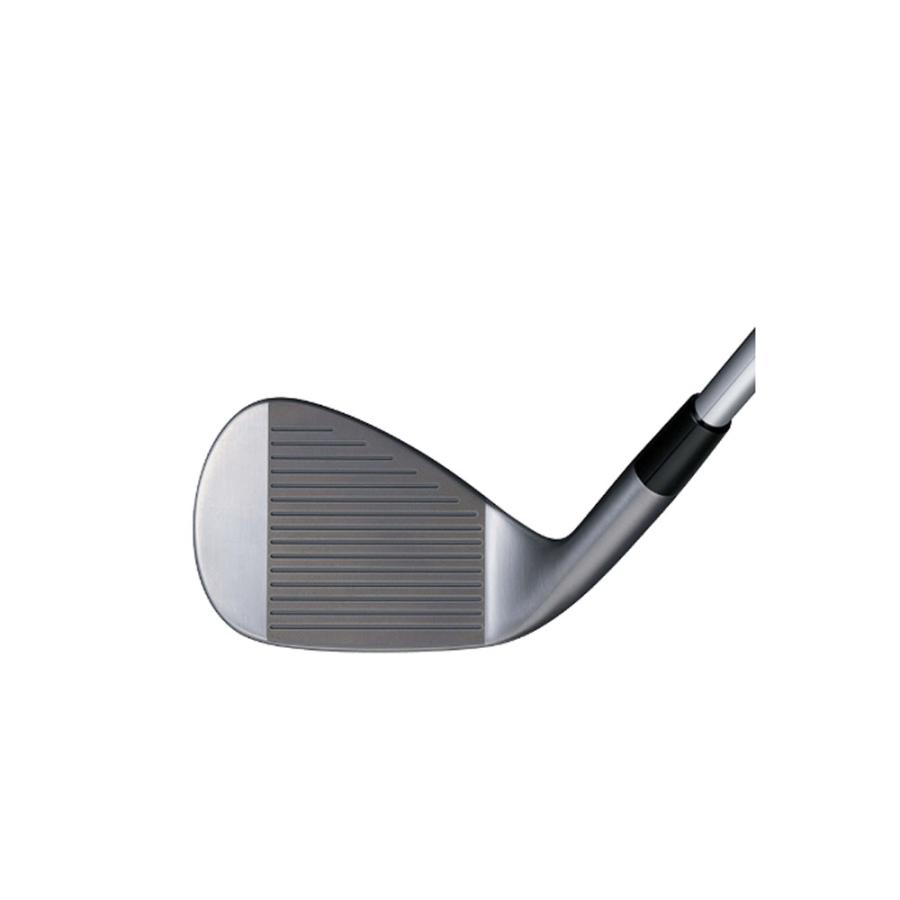 ブリヂストン バイティングスピン ウエッジ　　　　　2本セット　ノーメッキ BRIDGESTONE GOLF ブリヂストン ゴルフ バイティング スピン