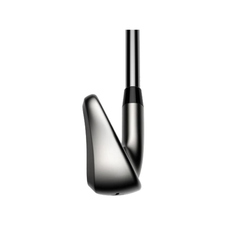 最終価格！！！Cobra DS-ADAPT アイアンセット 5本セット COBRA（ゴルフ） コブラ DSアダプト アイアン 5本セット （#6/#7