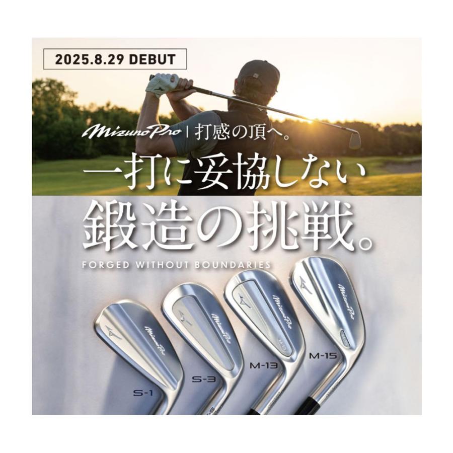 MIZUNO（ミズノ） プロ Mizuno Pro M-15 アイアン 単品（＃4） MODUS3