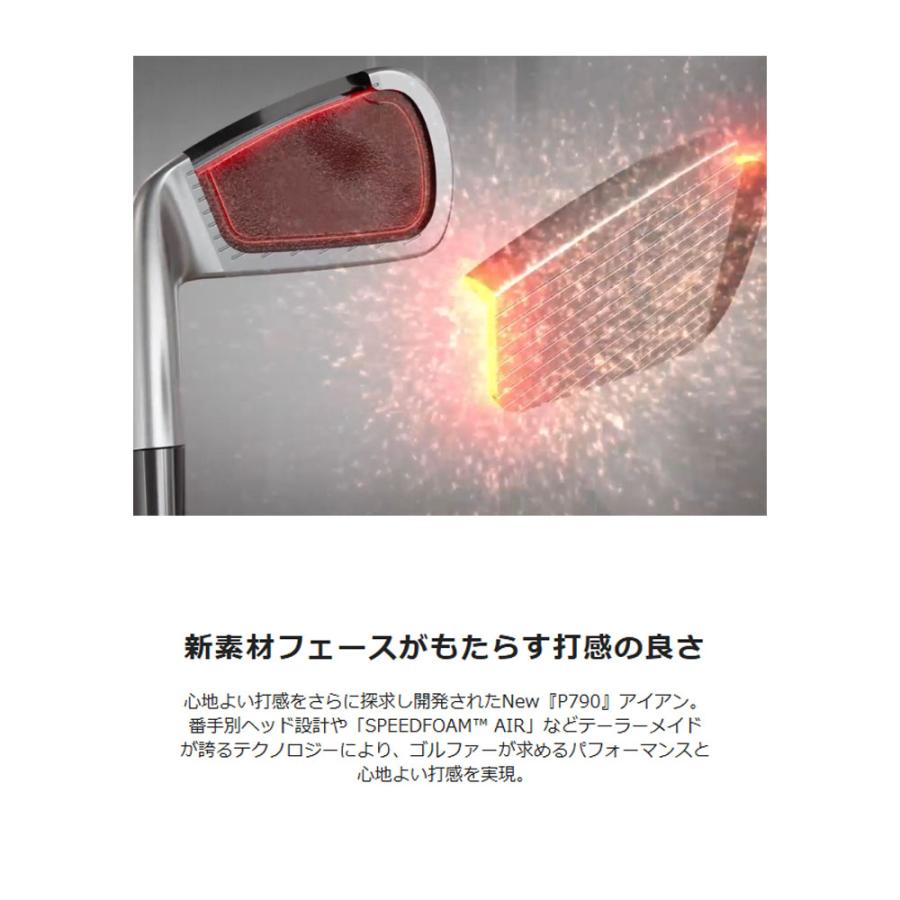 TaylorMade テーラーメイド New P790 アイアン（'25） 5本組（＃6〜PW