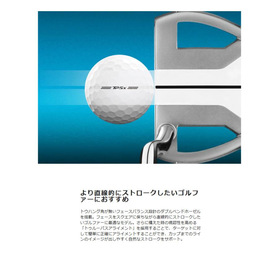 TaylorMade（テーラーメイド） スパイダー ツアー エックス シルバー
