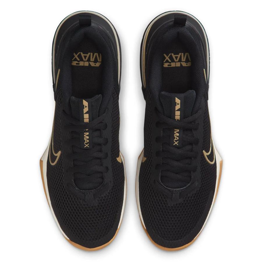 NIKE（ナイキ） 日本正規品 2025HO メンズ AIR MAX ALPHA TRAINER 6