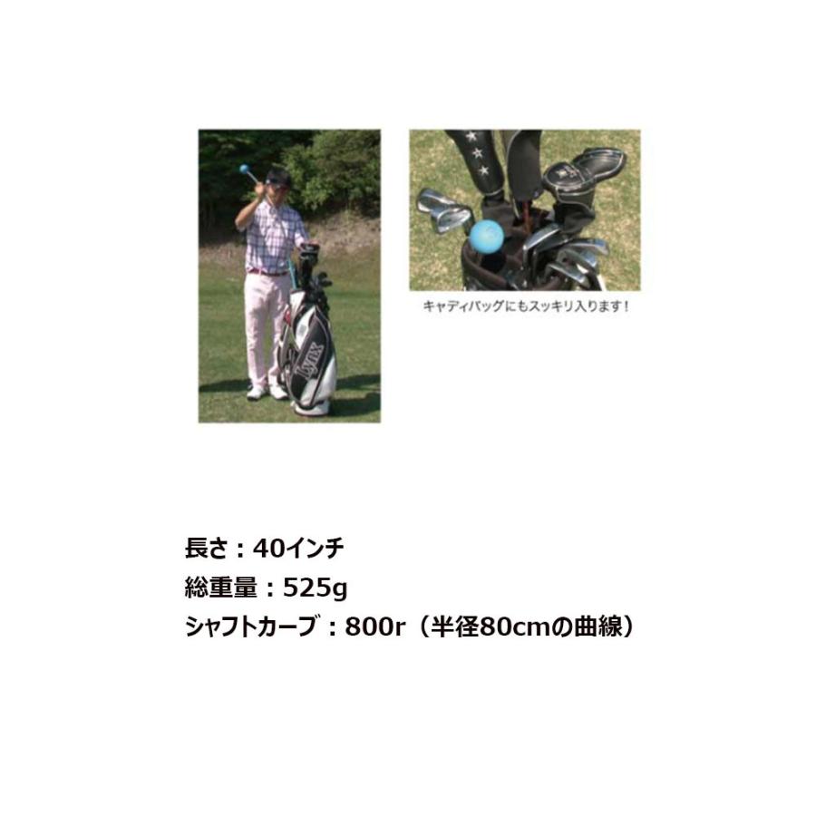 Lynx リンクス ゴルフ フレループ カーブ型 スイング 練習器具 Lynx リンクス ゴルフ フレループ カーブ型 スイング 練習器具