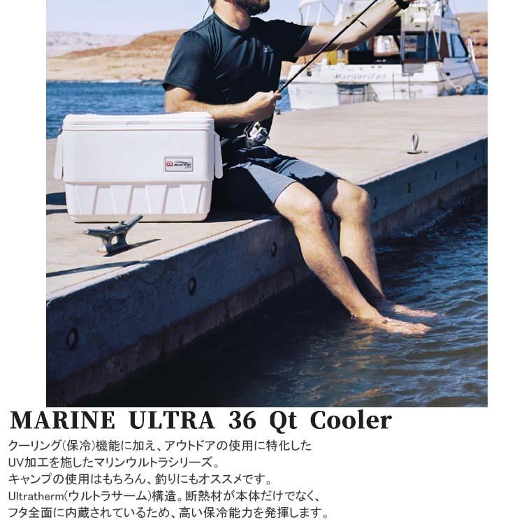 イグルー IGLOO クーラーボックス 釣り MARINE ULTRA 36 Qt Cooler 大型 アウトドア キャンプ|Golkin PayPayモール店|01