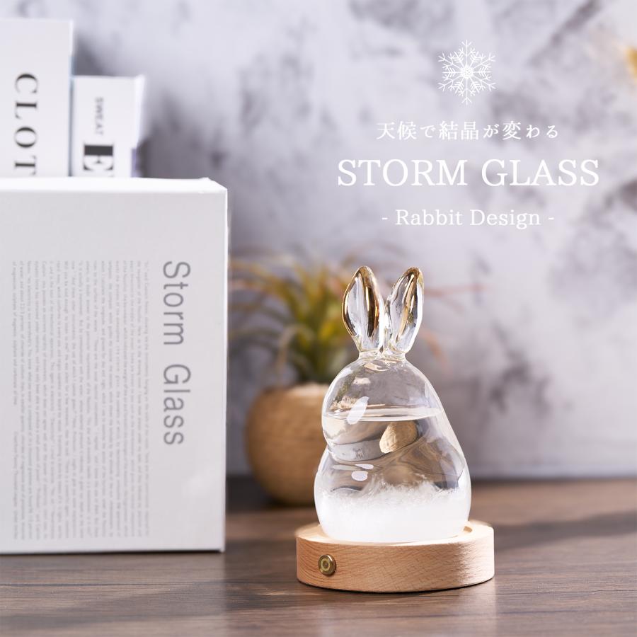 うさぎ ストームグラス かわいい カラー LED 台座 ガラス オブジェ