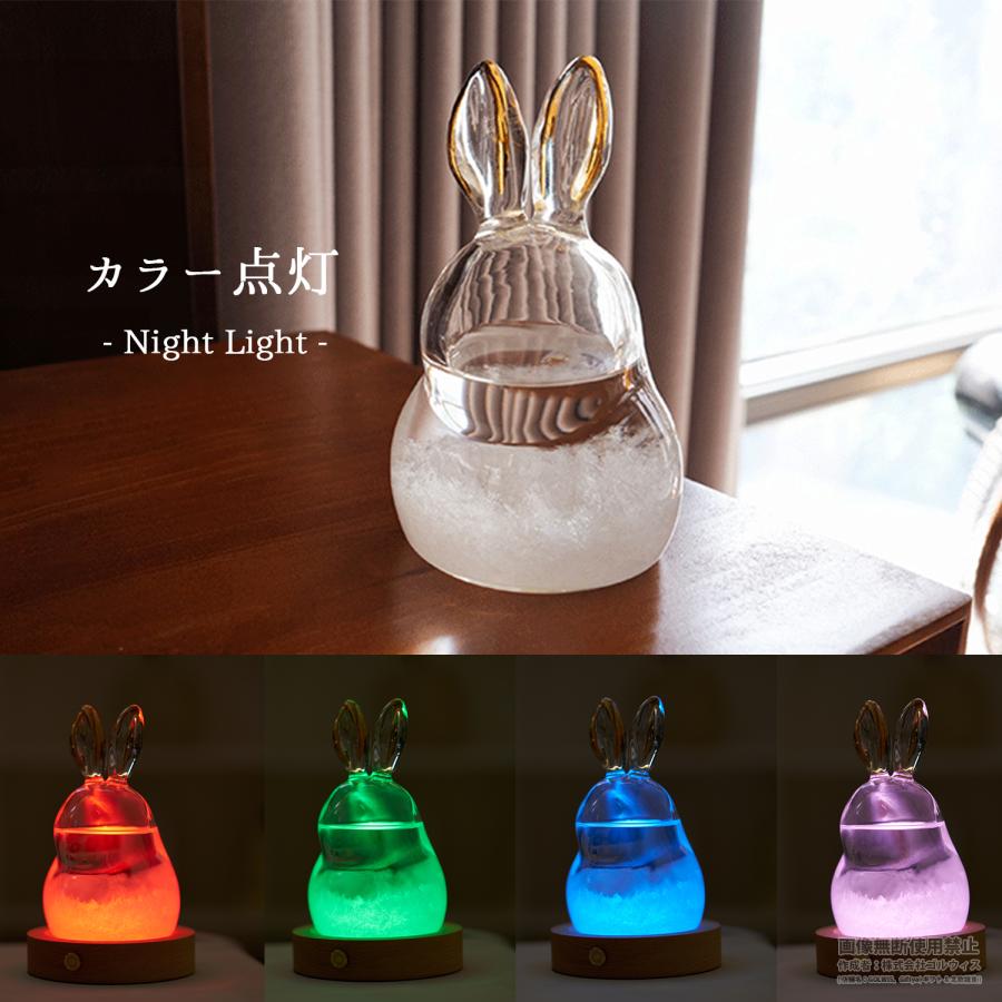 うさぎ ストームグラス かわいい カラー LED 台座 ガラス オブジェ