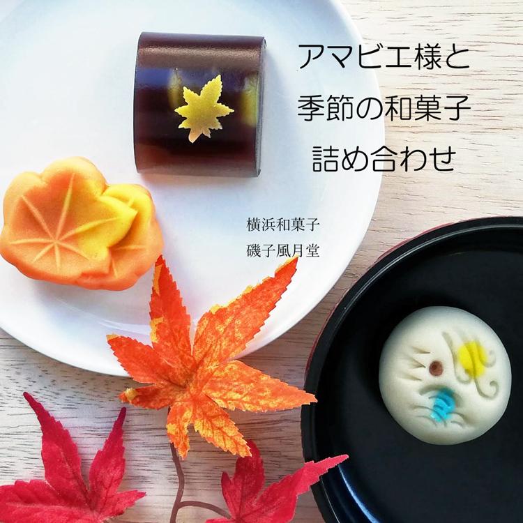 紅葉 内祝 七五三 アマビエ様 と 秋の和菓子 詰め合わせ 上生菓子12個入り ギフト ご贈答用化粧箱入り Jamabietume Zoutou12 横浜和菓子匠 磯子風月堂 通販 Yahoo ショッピング