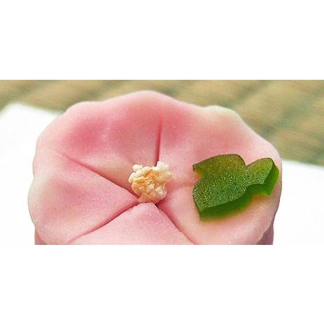 練切り製 夏の上生菓子 朝顔の上生菓子 個包装 1個 12個以上でご注文可 12個未満はキャンセルになります Jasagao1 横浜和菓子匠 磯子風月堂 通販 Yahoo ショッピング