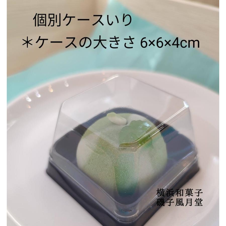 お中元 お供え お盆 横浜土産 夏の上生菓子 アマビエ 詰め合わせ12個入り ご贈答用化粧箱入 各種お熨斗 お名前入れ可 Jasagaos12 横浜 和菓子匠 磯子風月堂 通販 Yahoo ショッピング