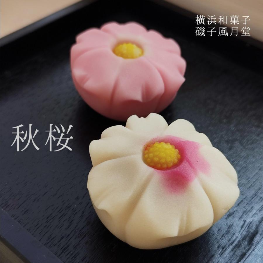 秋の上生菓子,秋桜,コスモス,練り切り 1個,個包装*1色12個以上でご注文可 :jkikyou1:横浜和菓子匠 磯子風月堂 - 通販 - Yahoo!ショッピング 秋の上生菓子,秋桜,コスモス,練り切り 1個,個包装*1色12個以上でご注文可 :jkikyou1:横浜和菓子匠 磯子風月堂 - 通販 - Yahoo!ショッピング