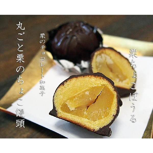 和菓子 バレンタインチョコレート 栗のチョコ饅頭 まるごと栗のチョコボール すいーとぽてと6個入 Vkuripota6 横浜和菓子匠 磯子風月堂 通販 Yahoo ショッピング