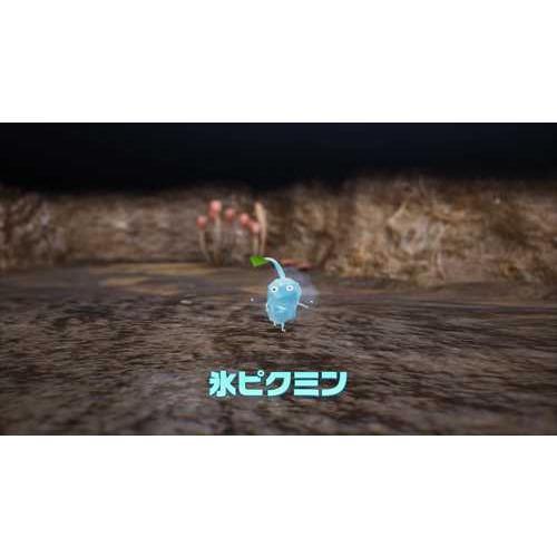 Nintendo Switch ピクミン4 Pikmin4 スイッチソフト : ゴマショップ