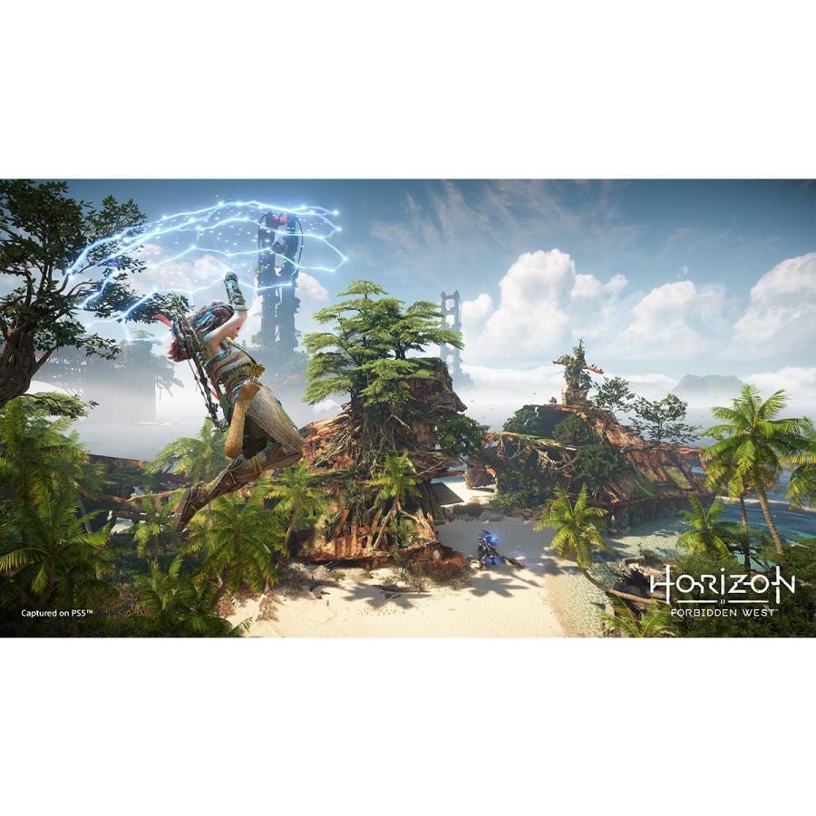 PlayStation ホライズン Horizon Forbidden West 通常版 PS5