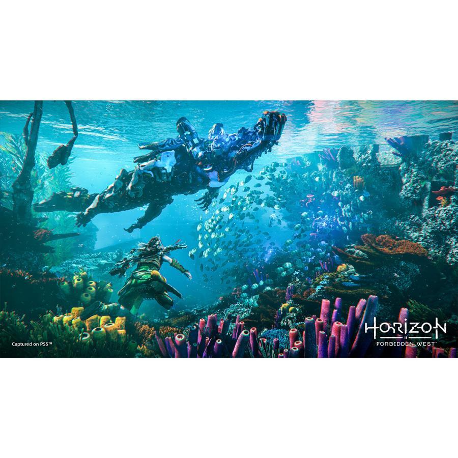 PlayStation ホライズン Horizon Forbidden West 通常版 PS5