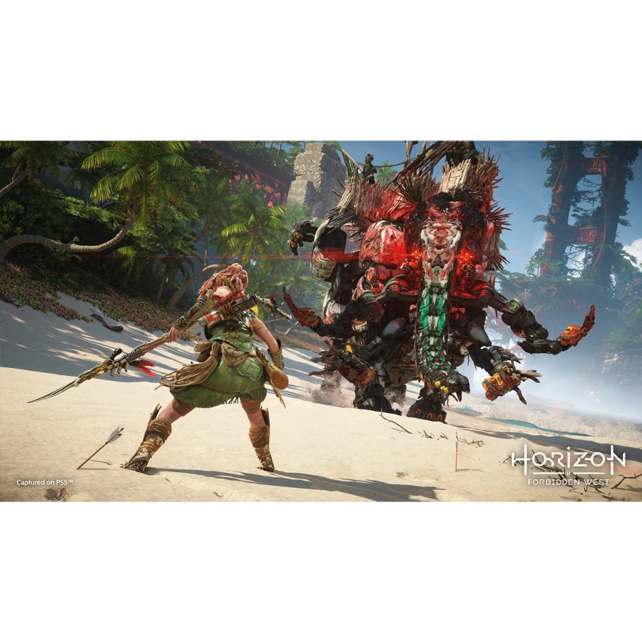 PlayStation ホライズン Horizon Forbidden West 通常版 PS5