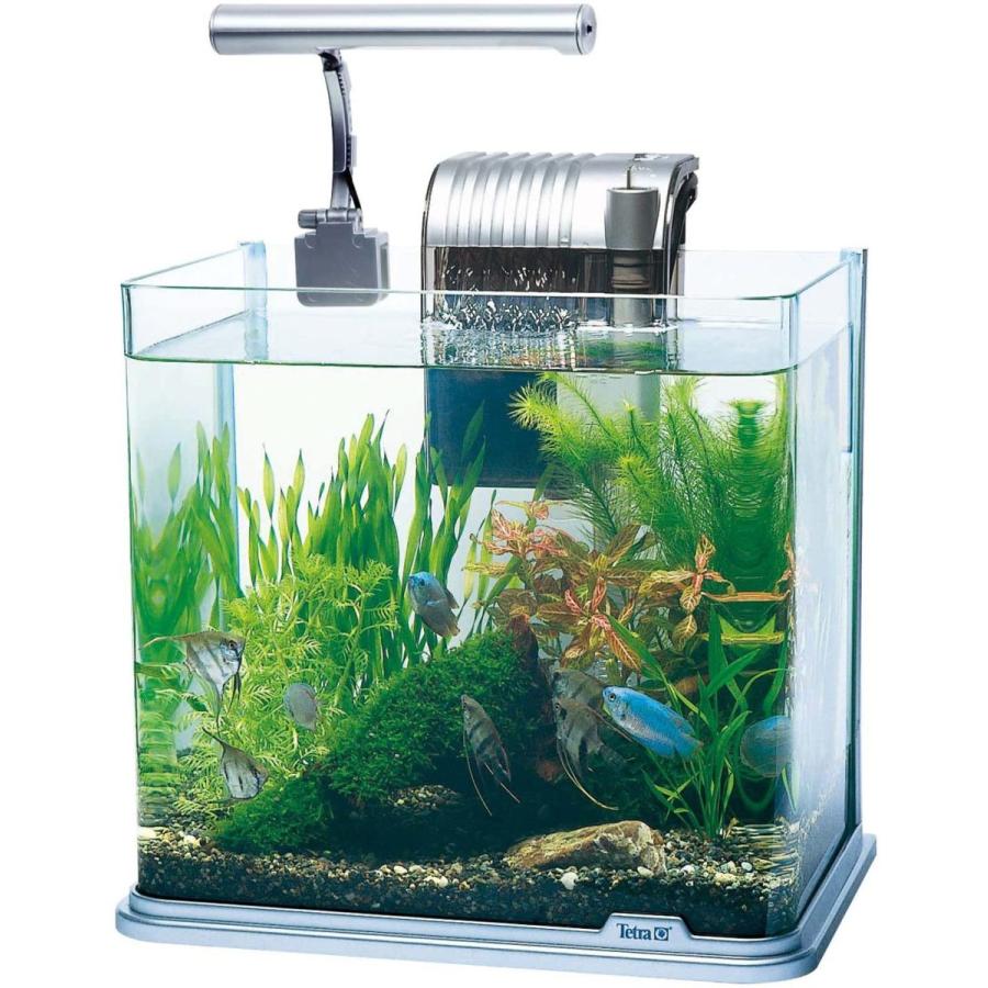 Tetra アウトレット品 箱傷日焼け 数量限定 テトラ (Tetra Tetra アウトレット品 箱傷日焼け 数量限定 テトラ (Tetra
