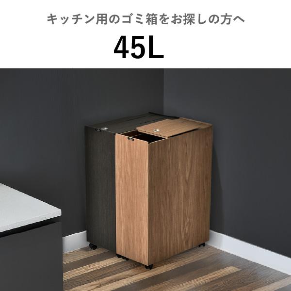 TATSUーCRAFT（タツクラフト） ゴミ箱 ダストボックス スリム 45