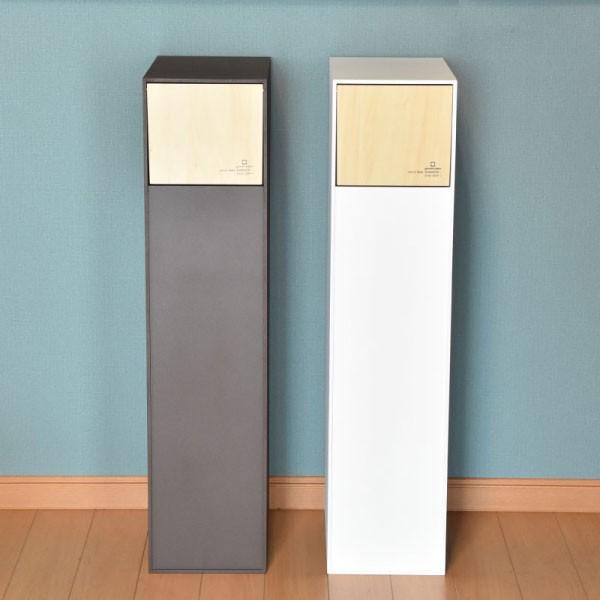 安心の日本製 ゴミ箱 おしゃれ 45l 分別 木製 リビング 店舗 オフィス ダストボックス キッチン 45l スリム 45リットル ダストbox 45リットル スリム 希少 大人気 Theblindtigerslidell Com