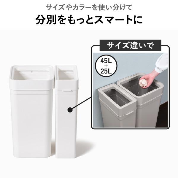 Like-it（ライクイット） ゴミ箱 マルチパーパスビン 45リットル 2個