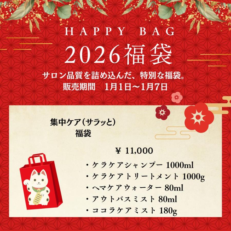 2026 新春福袋】集中ケアセット サラッとタイプ 美容室専売 高保湿