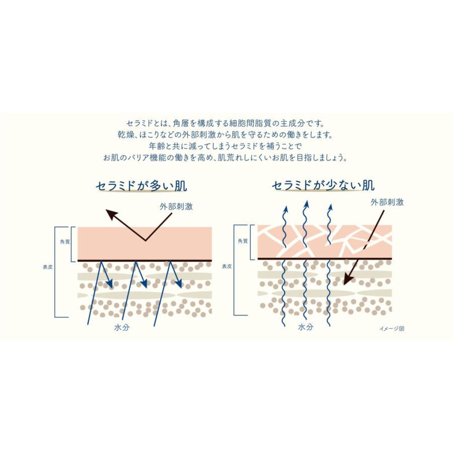 もごフェイスクリームバリアモイスト 1g 3種類のヒト型セラミド配合 ドラッグストア 乳液 無香料 セール 低刺激 乳液 トーンアップ クリーム 30代 40代 902 もごシャンプーヤフー店 通販 Yahoo ショッピング