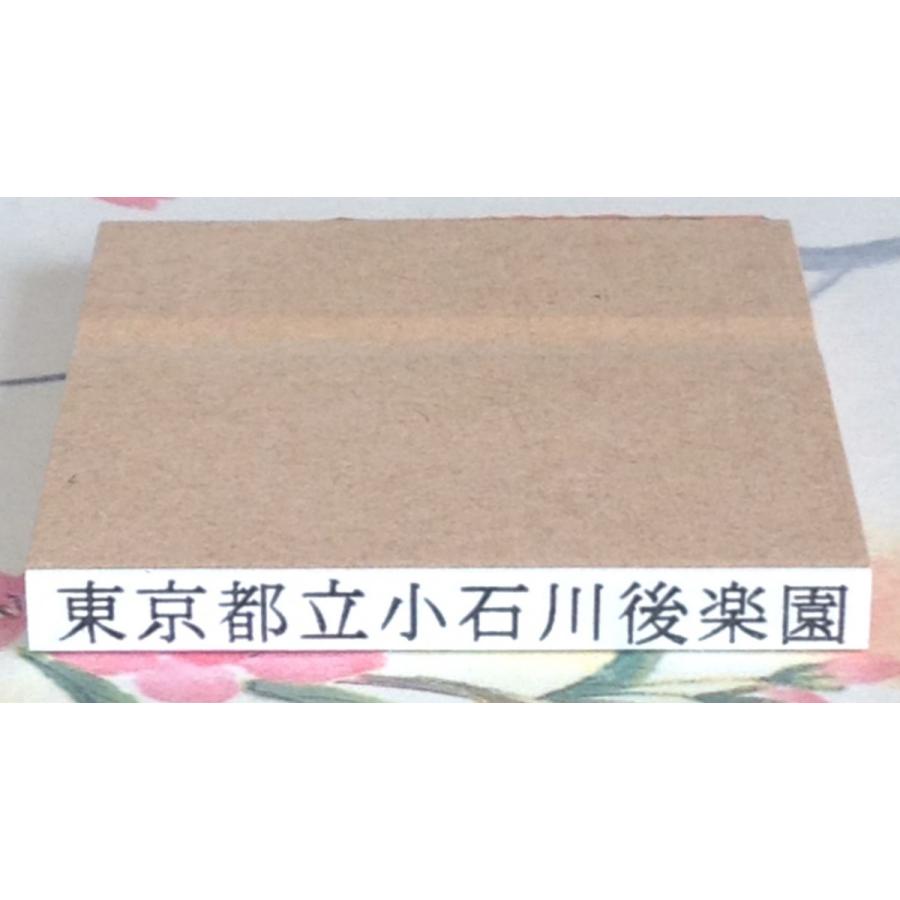 ゴム印・横５０ミリまで、文字の高さ4.75ミリ（13.5ポイント相当）フリーサイズ１行印｜gomuin2-center2