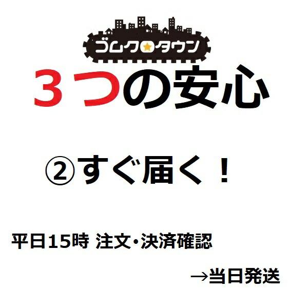 IHI 石川島 30GX / IS30GX 初期型 2本セット ゴムクローラー 300×52.5×80 ゴムキャタ｜gomukuro-town｜08