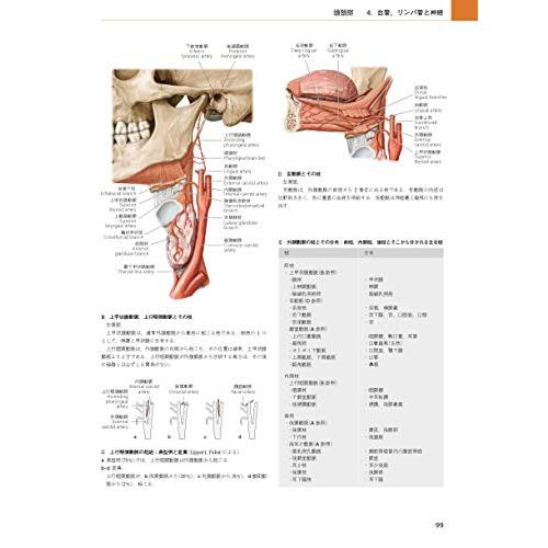 プロメテウス解剖学アトラス 頭頸部/神経解剖 第3版基礎医学