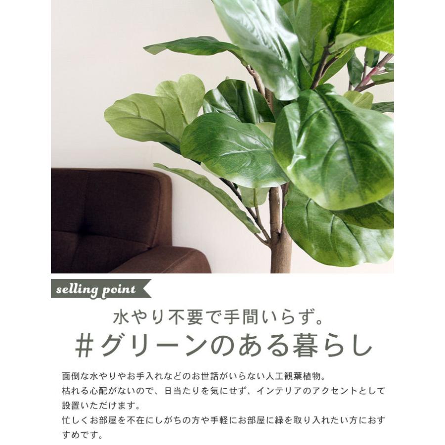 コンビニ受取対応商品 フィカス 人工 植物 高さ 155cm 5号鉢対応 鉢植え フェイクグリーン 観葉植物 カシワゴム 造花 オフィス 観葉 インテリア 室内 鉢 リビング M5 Mgkfgb900 グッド チョイス 通販 Yahoo ショッピング 売れ筋 Www Grupors Net Br