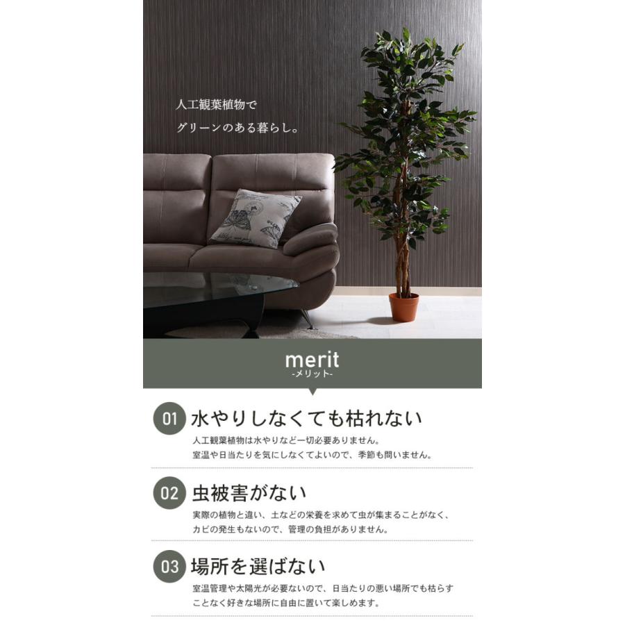 激安ブランド フィカス フェイクグリーン 観葉植物 人工 高さ 150cm 6号鉢対応 人工 造花 フェイク グリーン シンプル オフィス おしゃれ 観葉 植物 鉢 格安 Carlavista Com