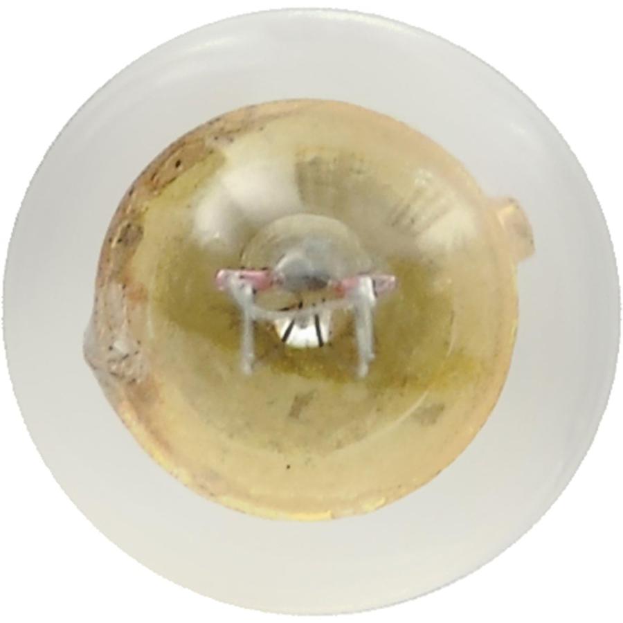 【並行輸入品】SYLVANIA 1895 Basic Miniature Bulb  (Contains 10 Bulbs)　_6