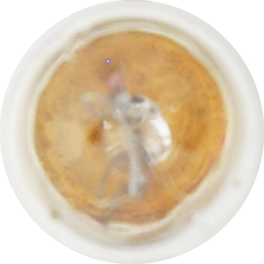 【並行輸入品】SYLVANIA 1893 Basic Miniature Bulb (Contains 2 Bulbs)　_3