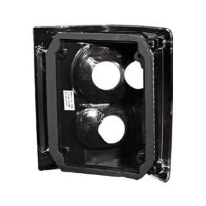 【並行輸入品】Anzo USA 211015 シボレー カーボン テールライト アセンブリ - (ペアで販売)の画像