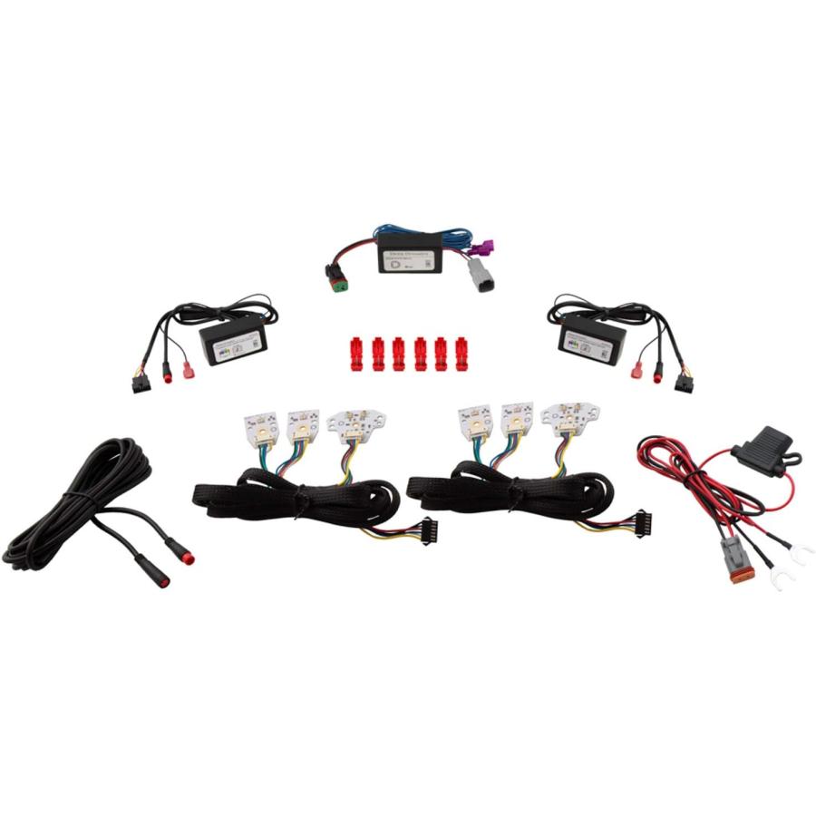 【並行輸入品】ダイオード ダイナミックス RGBW マルチカラー DRL キット Dodge Charger 2015-2018 (USDM) 対応の画像